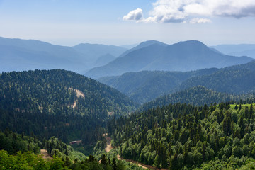 Mountain landscape on a summer day