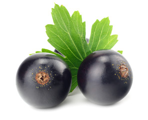 black currant with green leaf isolated on white background. macro