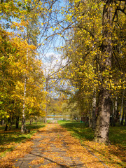 path in an autumn park