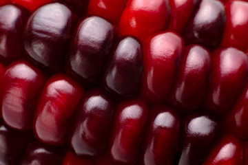 Ornamental corn closeup background