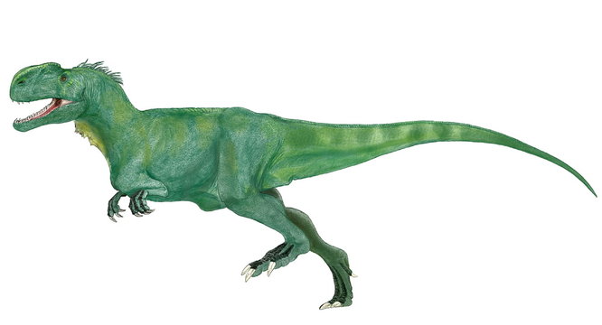 モノルフォサウルス(単冠のトカゲ）ジュラ紀中期の獣脚類。中国、新疆ヴイグル地区で発見された頭部と腰部の一部の化石による再現。全体像は他のカルノサウルス類の恐竜を参考にした。2005年に仕上げたイラスト画像。細部を補正したイラスト画像。