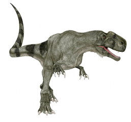 モノルフォサウルス(単冠のトカゲ）ジュラ紀中期の獣脚類。中国、新疆ヴイグル地区で発見された頭部と腰部の一部の化石による再現。全体像は他のカルノサウルス類の恐竜を参考にした。2008年に細部を補正したイラスト画像。