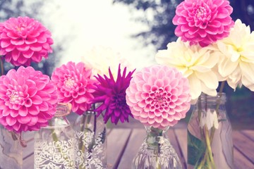 Dahlien Blumenstrauß - wunderschöner Spätsommer - Herbst