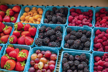 A variety of berries and fruits for sale at a grocery store. Fresh organic strawberries, raspberries, blackberries and grapes all deliciously displayed