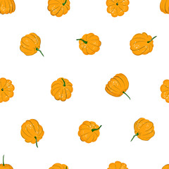Cartoon pumpkins seamless pattern. Pumpkin from different sides background, For fall wallpaper, fabric, greeting cards, invitation on white background