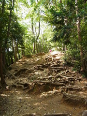 Mt. Takao in Japan