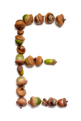 Autumn alphabet. Letter E  is made of acorns