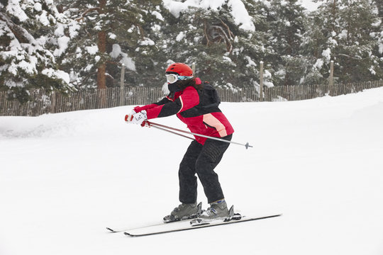 Skiing on a snow forest landscape. Winter sport