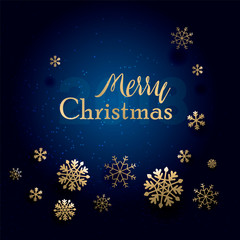 Christmas Typographical on shiny background with winter landscape with snowflakes, light. 