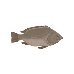 Small sea or river fish with brown fins. Marine animal. Seafood theme. Flat vector for product packaging or cafe menu