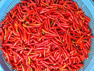 Fototapeta premium Red Chilli Background nt