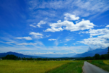 農道に広がる空