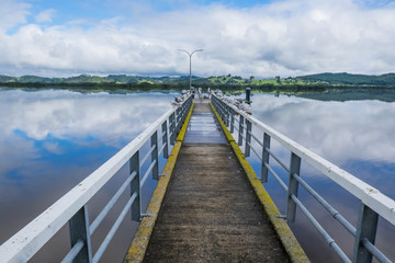 Fototapeta premium Horeke Hokianga Harbour jetty with seagulls sitting on railings and oystercatcher birds in background. Far North, New Zealand, NZ