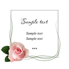 Realistic pink rose, card.