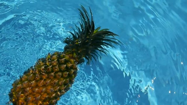 Pineapple Floating In blue Water In Swimming Pool. Healthy Raw Organic Food. Juicy Fruit. Vegetarian, Vegan Nutrition, Vitamins, Diet, summer holidays, vacation concepts. Exotic tropical background