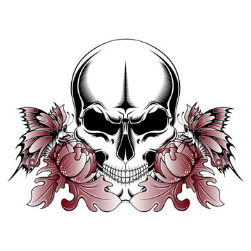 Skull with peonies and butterflies on a white background. Vector image.