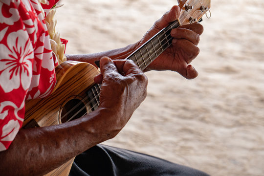 Fototapeta old man hands playing hukulele in french polynesia