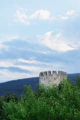 The tower with the warriors of a castle, behind the branches of a tree