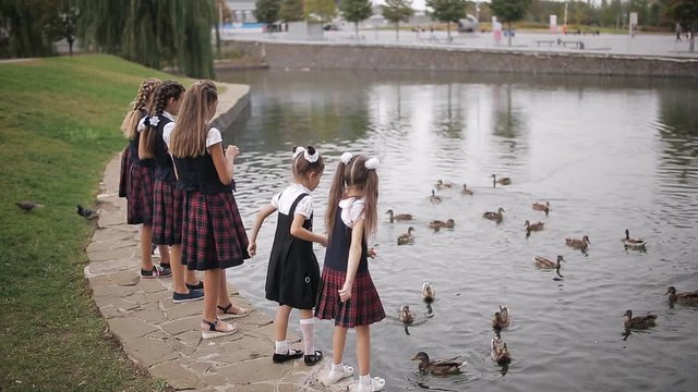 Students in school uniform feeding ducks in a pond in the school yard. Girls College coeds wearing the same school uniform feed the ducks in the pond on campus