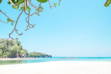 Beautiful white sand beach and tree with  island in summer time concept travel, holiday and vacation. Tropical paradise beach nature landscape in Thailand