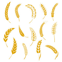 Set of simple wheats ears icons and grain design elements for beer, organic wheats local farm fresh food, bakery themed wheat design, grain, beer elements, wheat simple. Vector illustration - obrazy, fototapety, plakaty