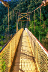 Footbridge over the Cataract Gorge © atosan