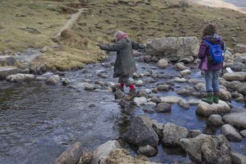 Stepping stones over stream