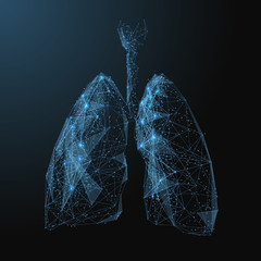lungs. Low poly blue. Polygonal abstract health illustration. In the form of a starry sky or space. Vector image in RGB Color mode.
