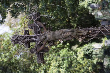 Historic Statue on the mystery old Prague Cemetery, Czech Republic