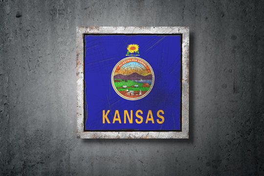 Old Kansas State flag