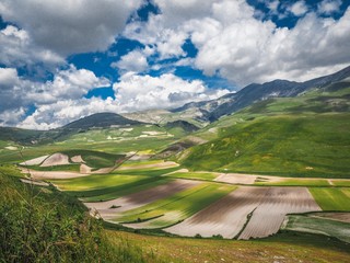 Landscape of green hills and endless fields, divided into squares in Castelluccio di Norcia, above them a magnificent sky with clouds