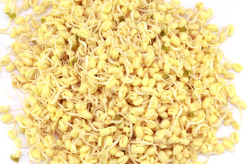 Sprouted beans on a white background. National Asian cuisine, preparation for salad, vegetarianism or raw food. Food background.