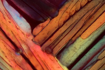 Red wine under a microscope, Shiraz.