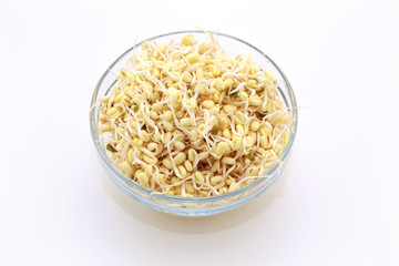 Sprouted beans on a white background. National Asian cuisine, preparation for salad, vegetarianism or raw food. Food background.