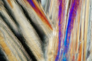 White wine under a microscope, Pinot gris.