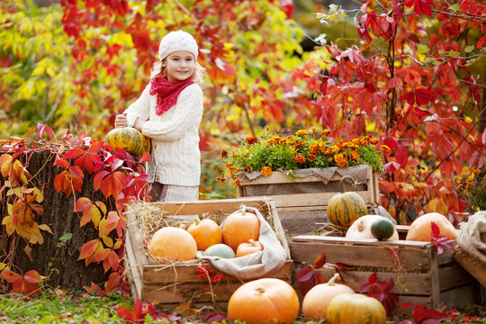 Cute little girl playing with pumpkins in autumn park. Autumn activities for children. Halloween and Thanksgiving time fun for family.