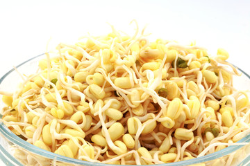 Sprouted beans on a white background. National Asian cuisine, preparation for salad, vegetarianism or raw food. Food background.