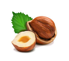 hazelnuts