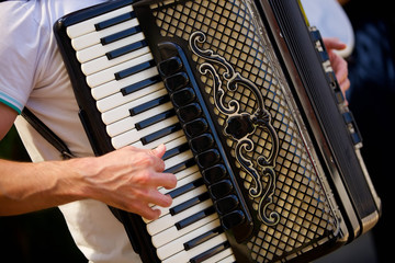 Musical instrument accordion in the hands of a male.