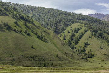 Obraz premium beautiful mountains in summer