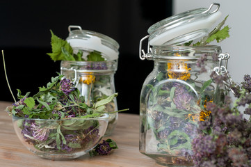 collection of dried herbs