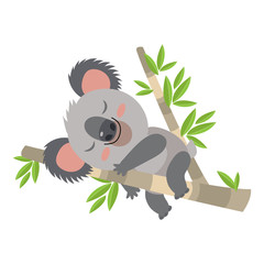 Fototapeta premium Leniwy Koala Spanie Na Ilustracji Wektorowych Kreskówka Oddział. Zwierzę Australii. Ilustracja wektorowa śpiącej Koali. Baby Bear Koala, Na Białym Tle.