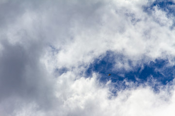 海鳥と白い雲と青い空