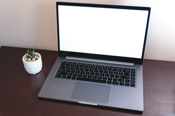 Succulent plant in a pot vase lie near a computer with white screen