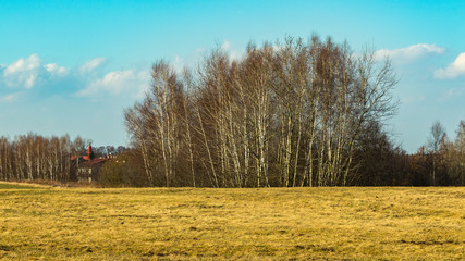 Obraz premium meadow near the forest in the south of Poland
