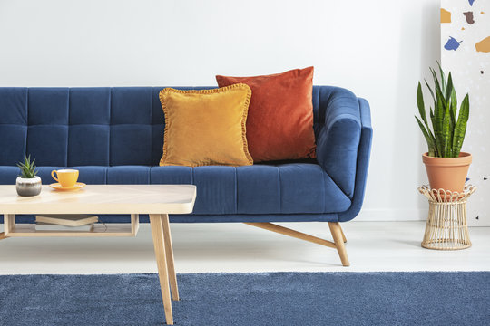 Orange and red cushions on a fancy, navy blue sofa and a basic, wooden coffee table on a blue rug in a white living room interior. Real photo.