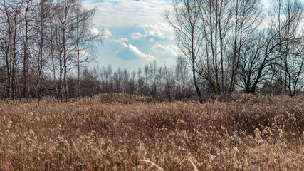 the nature of southern Poland