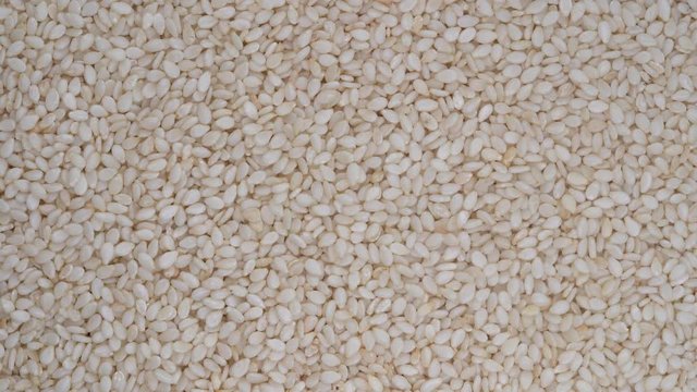 Pile sesame seeds background, close up rotation loopable 4k top view. Food  background. Gastronomy concept, organic food. Macro sesame seeds