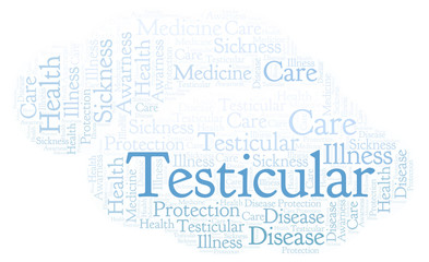 Fototapeta premium Testicular word cloud.