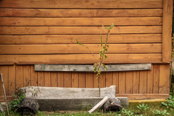 chata © kabanowster